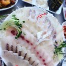 부안상회 | 가락시장 횟집 추천 부안상회 방문 후기