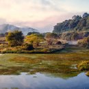 창녕 우포늪 이미지