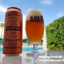33비어(BEER) 네이버블로그