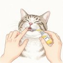 이든덴탈 이미지