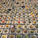 옥들농장 이미지