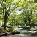 마두공원 화장실 이미지