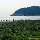 큰개마을 이미지