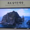 독도박물관 이미지