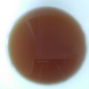 반디농장 이미지