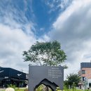 7월31일(금) 도봉산 송추폭포 산핼 이미지