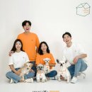 포인