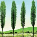 청어람어학원 이미지