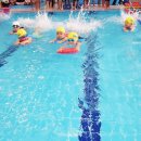 드림스포츠 이미지