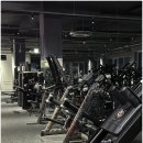 머슬피플 이미지