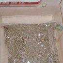 천마리농장 | 천길 농장 밀웜 천마리 &amp; 밀기율 후기