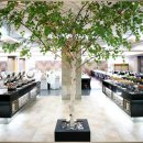 에스컨벤션(S컨벤션) 이미지