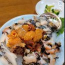소섬바라기 네이버블로그