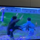 한섬떡케익 | 수원 행궁동 카페 한섬ㅣ조용하고 아늑한 고양이 출몰 카페(애견동반/주차) 유미의 세포들3 촬영지