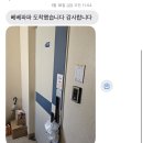 남구-48 | 베베파파 유아식 정기배송 이용후기｜부산 수제이유식 (수영구 남구)