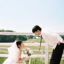 디지탈준 | [ 나라코드 웨딩스냅, 필름 디지털 웨딩스냅 후기 🤍 ]