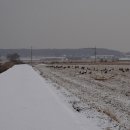 애기봉목장 이미지