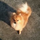 마산육일약국 이미지