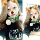 써패스주 | 아이폰 셀카렌즈, 써패스아이로 광각렌즈 효과!