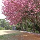 충혼탑화장실 이미지