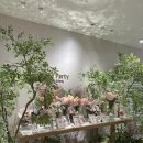 대아스크린골프 | 🎀W1. 인천 부평역 그레이스파티 신상 단독 웨딩홀 투어✨ 당일예약 후기 | 홀투어 체크리스트✔️