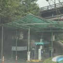 반려동물놀이터 | [수원] 수원시 반려동물 애견놀이터 방문 후기 - 무료 개방