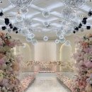 장항가든 | w2. 일산 웨스턴빌리프 웨딩홀 투어 웨딩 베뉴 최종 계약후기 뷔페 시식후기 (26년 3월 예식)