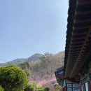 악견산등산로 이미지