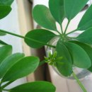 뿌리당구장 이미지