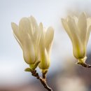 더아트복싱클럽 이미지