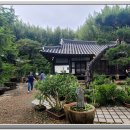 춘운서옥 이미지