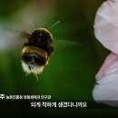 호박벌처럼 불가능도 가능케 하는 유주🐝💙🌟 이미지