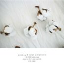 화이트팜(주) 이미지