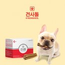 오케이캐쉬백서비스㈜ 이미지