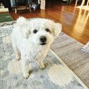 (주)광주과학 | 광주 한식조리기능사 자격증 내일배움카드 학원 후기