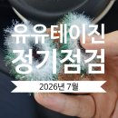 산소365 | 휴대용 산소발생기 정기점검 후기