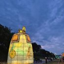 성남 연등회 | 2026 성남 연등제 후기(영상포함,이걸로 다 보신겁니다)