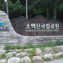 소백아! 소백산 철쭉산행 죽령~연화봉~비로봉~국망봉~어의곡( 2026.5.23.토) 이미지