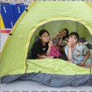 삼각태권도 이미지