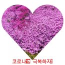 쌍림면사무소 이미지