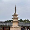 울진조경 | 경주.영덕.울진.맛기행 기차힐링투어