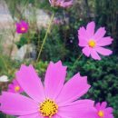 곤지한정식 이미지