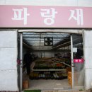 파랑새다육식물원 네이버블로그