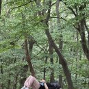 광덕산 등산로 | 100대 명산 천안 아산 광덕산 등산/광덕산 정상뷰 전망대 신상 데크