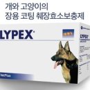 라이펙스 이미지