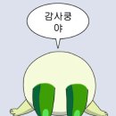 오슈(osiu)