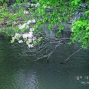 오월골프클럽 이미지