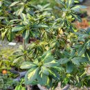 백옥농장 이미지