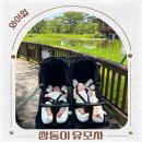 쌍둥이 유모차 와이업 지니트윈3 신생아 사용 후기