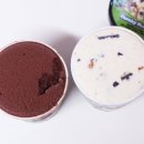 GS무역 | 편의점 아이스크림 벤앤제리스 청키몽키 초콜릿퍼지브라우니 맛 추천 GS25 1+1
